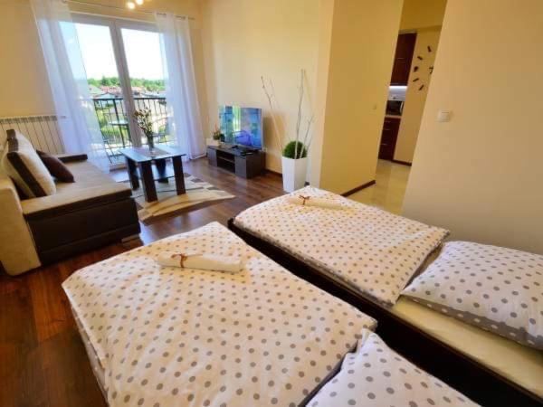 Appartamento Apartament Antonio Zator Esterno foto